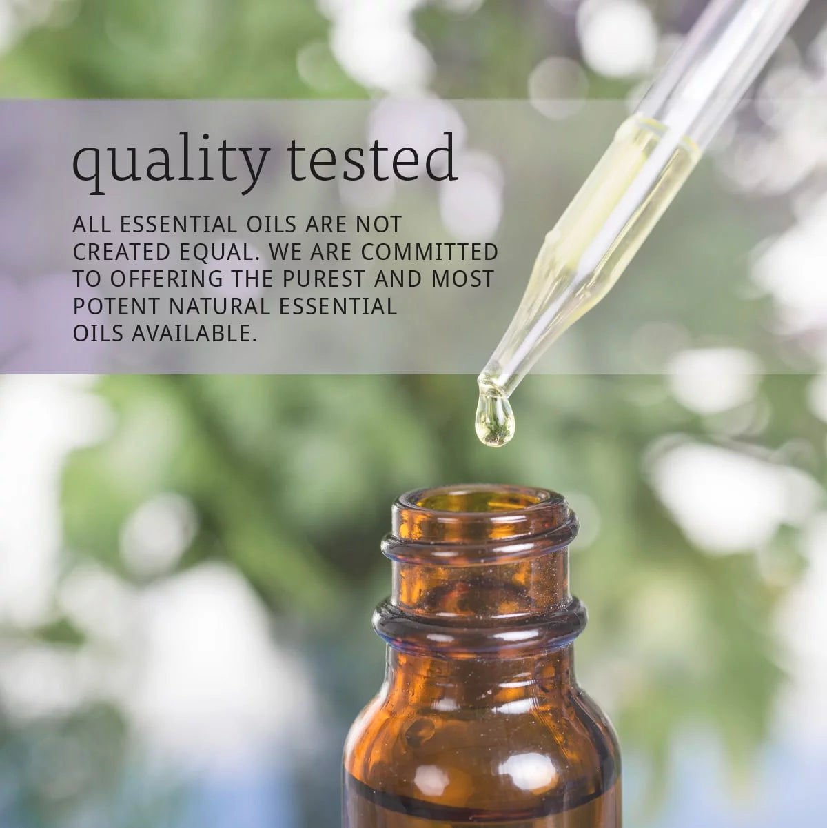 "Balancing Clove Essential Oil - 100% Pure, Vegan, 1-Ounce with Child Resistant Cap"